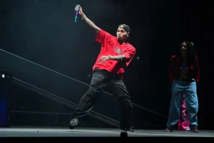 Chris Brown stuck mid-air during a concert performance | FAME Delivered