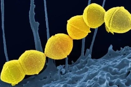 Medical professionals in Japan working to contain STSS infection | FAME Delivered